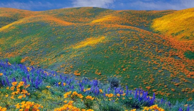 Kitulo National Park