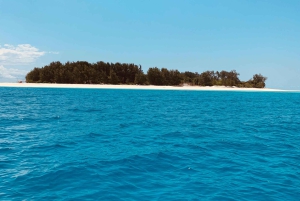 Kiwengwa : excursion de plongée avec tuba et jet ski sur l'île de Mnemba