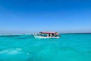 Kiwengwa : excursion de plongée avec tuba et jet ski sur l'île de Mnemba