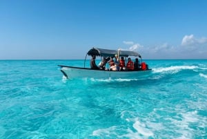 Kiwengwa : excursion de plongée avec tuba et jet ski sur l'île de Mnemba