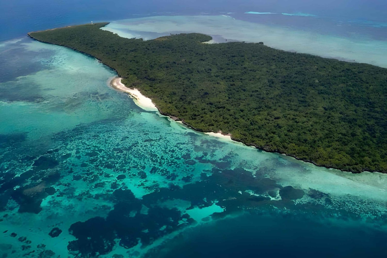 Kizimkazi: Snorkeling na ilha de Pungume e excursão aos bancos de areia