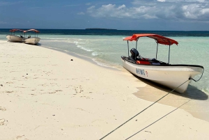 Kizimkazi: Pungume Island Snorkeling & Sandbank Tour