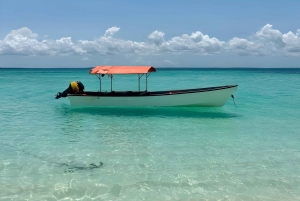 Kizimkazi: Snorkeling na ilha de Pungume e excursão aos bancos de areia