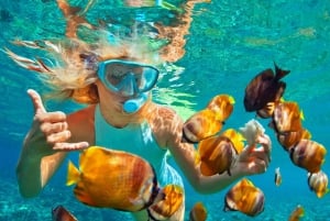 Kizimkazi: Schnorcheln und Delfine – Tagestour mit Barbecue