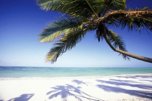 Tour de día completo de esnórquel y delfines en Kizimkazi con barbacoa