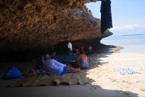 Kizimkazi Zanzibar: snorkelen met dolfijnen en vinnen#BBQ op strand