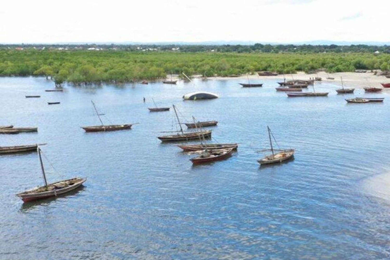 Kunduchi: esperienza di immersione tra i pescatori con guida