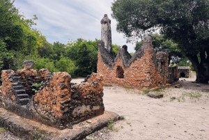 Kunduchi: esperienza di immersione tra i pescatori con guida