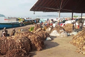 Kunduchi: esperienza di immersione tra i pescatori con guida