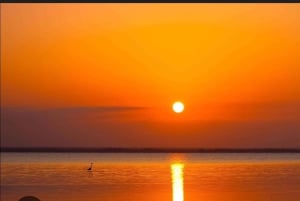 Kuza Cave, Paje Beach and Kae Funk Sunset Tour