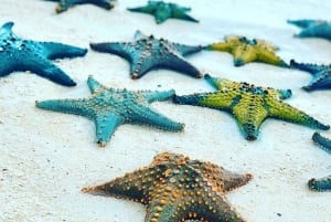 Kuza Cave, Starfish Tour, Blue Lagoon, The Rock, Kae Funk
