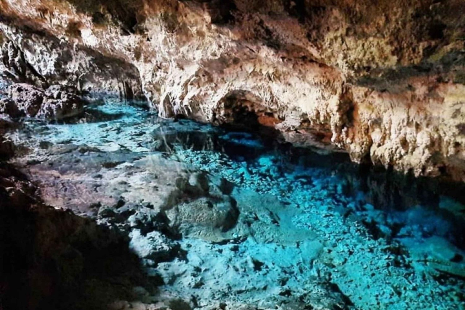 Экскурсия в пещеру Куза, Приключение морской звезды, Рок-ресторан