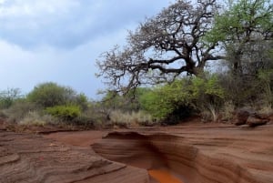 Moshi: Lake Chala Tour: Hiking &/or Kayaking