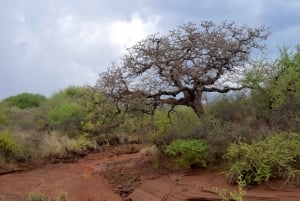 Moshi: Lake Chala Tour: Hiking &/or Kayaking