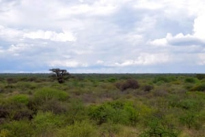 Moshi: Lake Chala Tour: Hiking &/or Kayaking