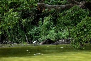 ドゥルティ湖：カヌー、自然散策、および追加オプション