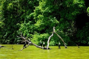 ドゥルティ湖：カヌー、自然散策、および追加オプション