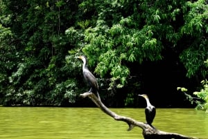 ドゥルティ湖：カヌー、自然散策、および追加オプション