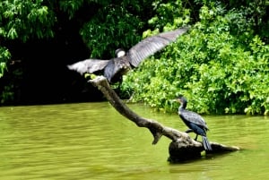 ドゥルティ湖：カヌー、自然散策、および追加オプション