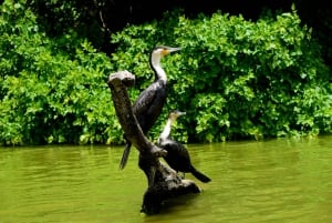 ドゥルティ湖：カヌー、自然散策、および追加オプション