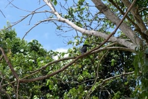 ドゥルティ湖：カヌー、自然散策、および追加オプション