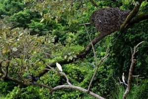 ドゥルティ湖：カヌー、自然散策、および追加オプション