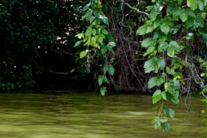 ドゥルティ湖：カヌー、自然散策、および追加オプション