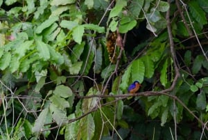 ドゥルティ湖：カヌー、自然散策、および追加オプション