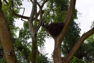 ドゥルティ湖：カヌー、自然散策、および追加オプション
