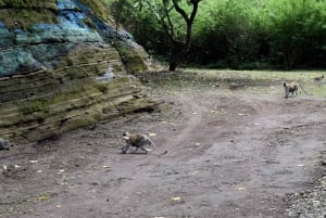 ドゥルティ湖：カヌー、自然散策、および追加オプション