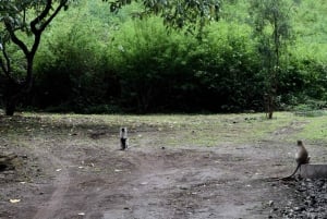 ドゥルティ湖：カヌー、自然散策、および追加オプション