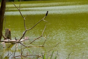 ドゥルティ湖：カヌー、自然散策、および追加オプション