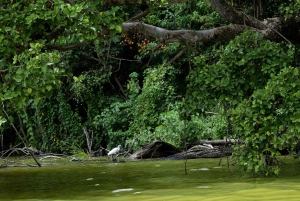 Lago Duluti: kayak, paseo por la naturaleza y complementos