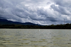Lago Duluti: kayak, paseo por la naturaleza y complementos