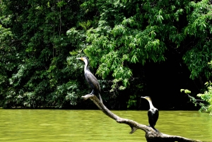 Lago Duluti: kayak, paseo por la naturaleza y complementos