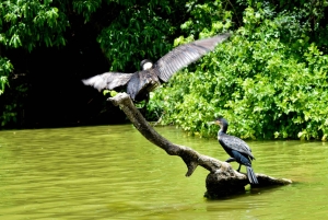 Lago Duluti: kayak, paseo por la naturaleza y complementos