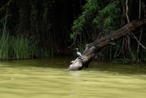 Lago Duluti: kayak, paseo por la naturaleza y complementos