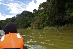 Lago Duluti: kayak, paseo por la naturaleza y complementos
