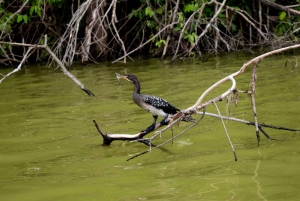 Lago Duluti: kayak, paseo por la naturaleza y complementos