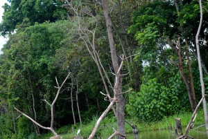 Lago Duluti: kayak, paseo por la naturaleza y complementos