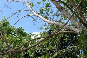 Lago Duluti: kayak, paseo por la naturaleza y complementos