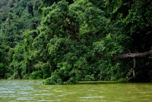 Lago Duluti: kayak, paseo por la naturaleza y complementos