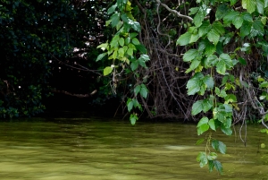 Lago Duluti: kayak, paseo por la naturaleza y complementos