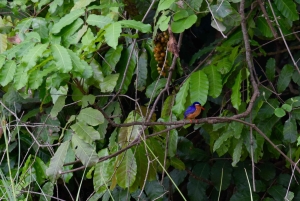 Lago Duluti: kayak, paseo por la naturaleza y complementos