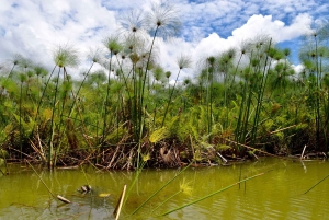 Lago Duluti: kayak, paseo por la naturaleza y complementos