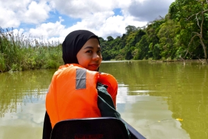Lago Duluti: kayak, paseo por la naturaleza y complementos