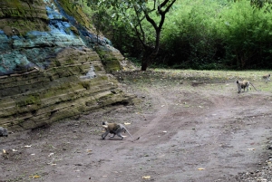 Lago Duluti: kayak, paseo por la naturaleza y complementos