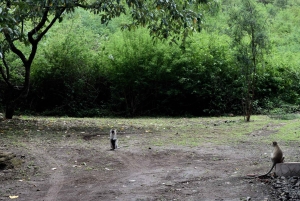 Lago Duluti: kayak, paseo por la naturaleza y complementos