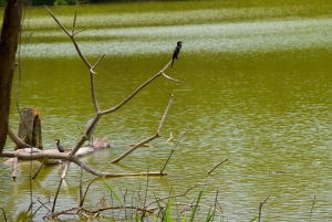 Lago Duluti: kayak, paseo por la naturaleza y complementos