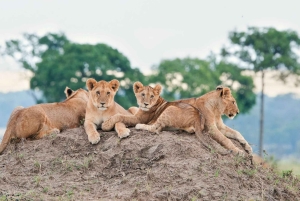 Lake Eyasi 3-Tage-private Tour mit dem Hadza-Stamm